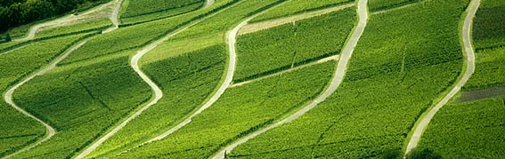 Wer die Perspektive ändert, wird neue Wege entdecken.